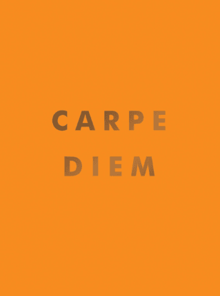 Carpe Diem Mini Book