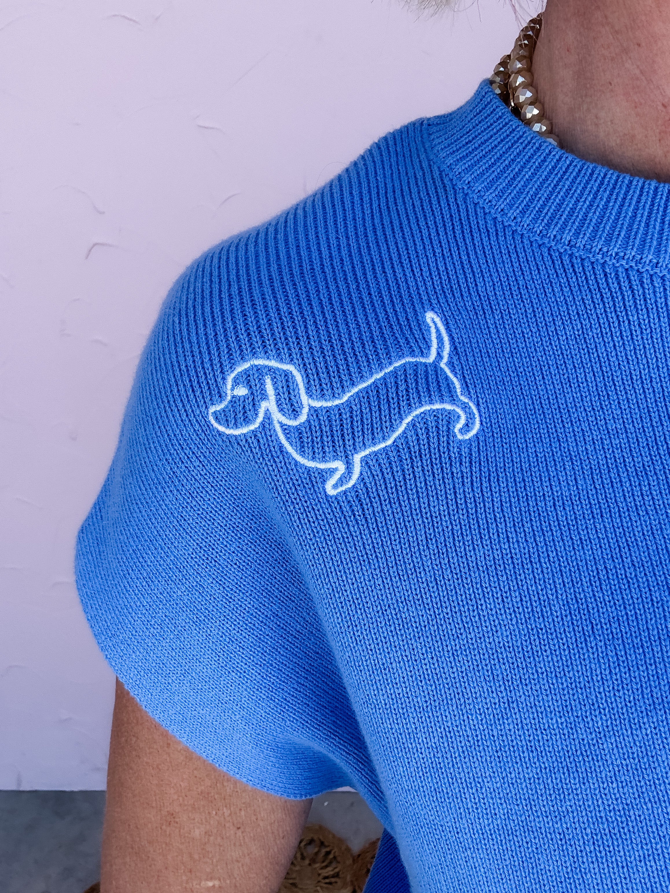 Best in Show Sweater