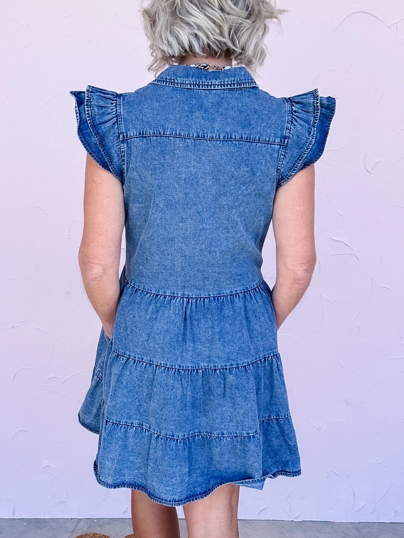 Everlane Denim Dress