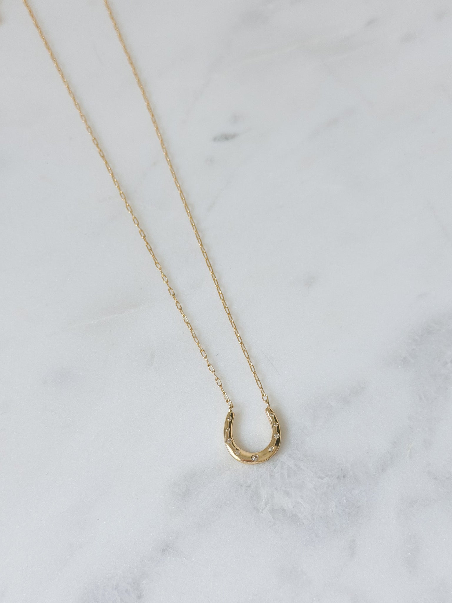 Lucky Charm Horseshoe Necklace