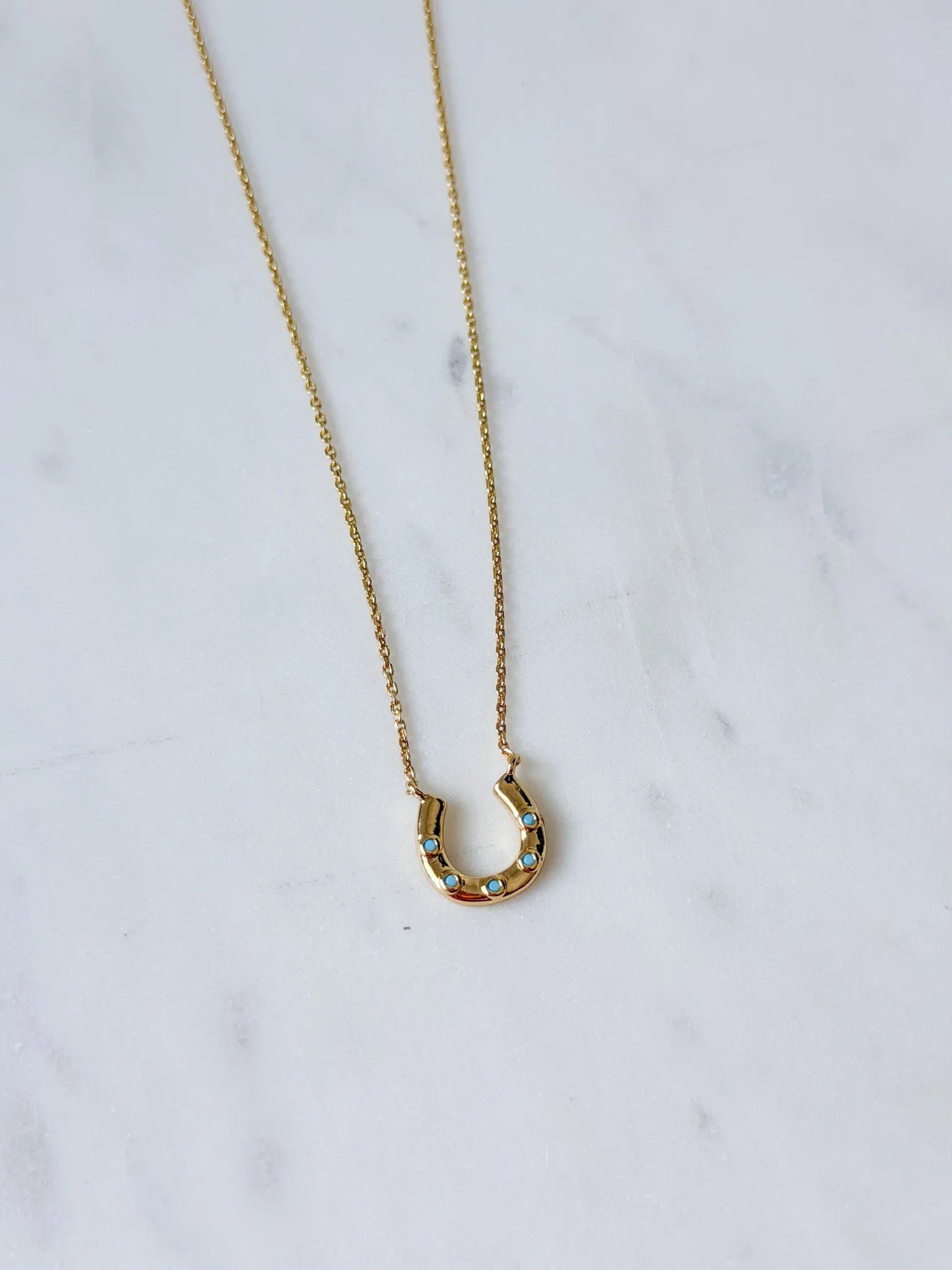 Lucky Turquoise Necklace