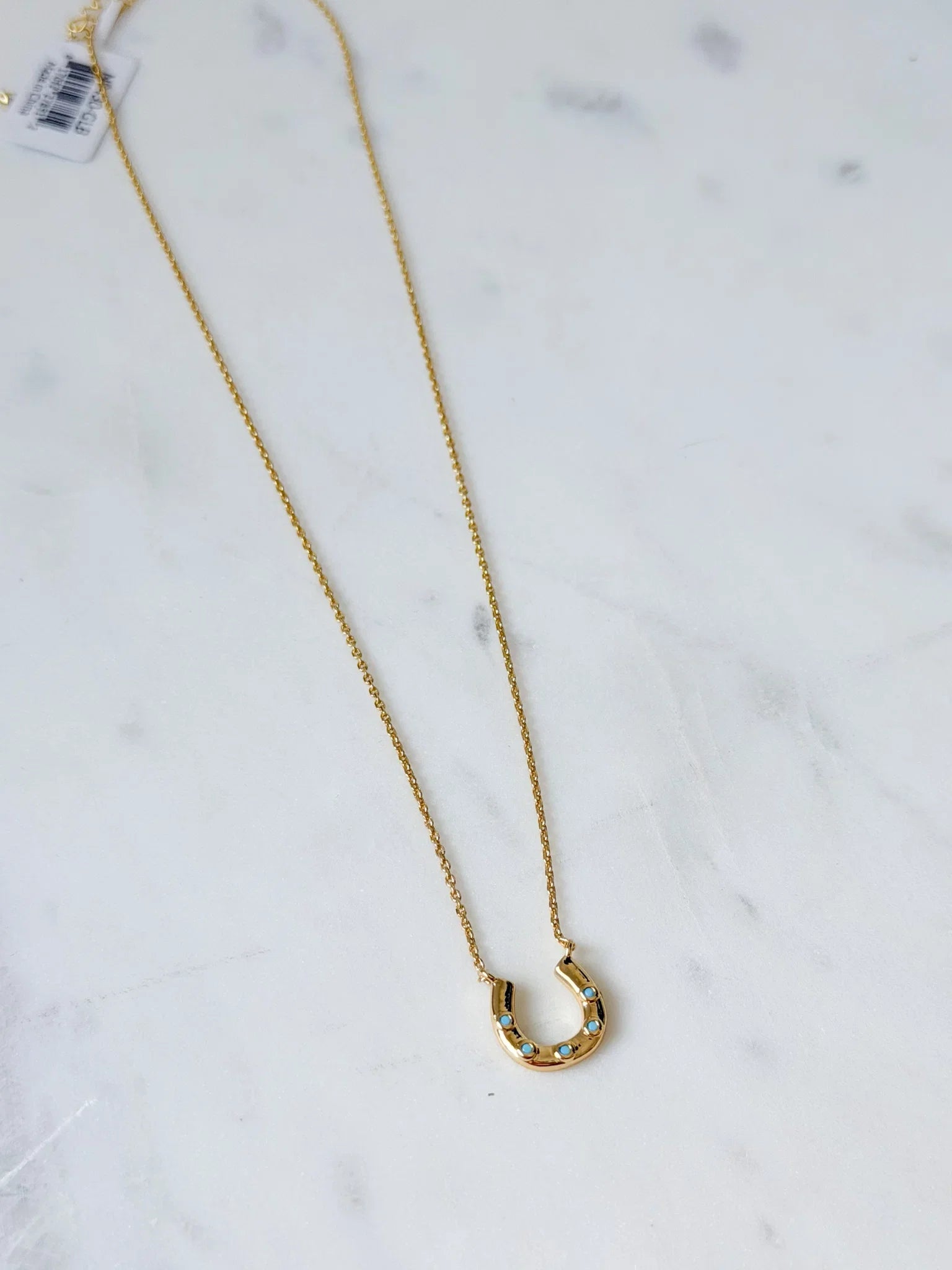 Lucky Turquoise Necklace