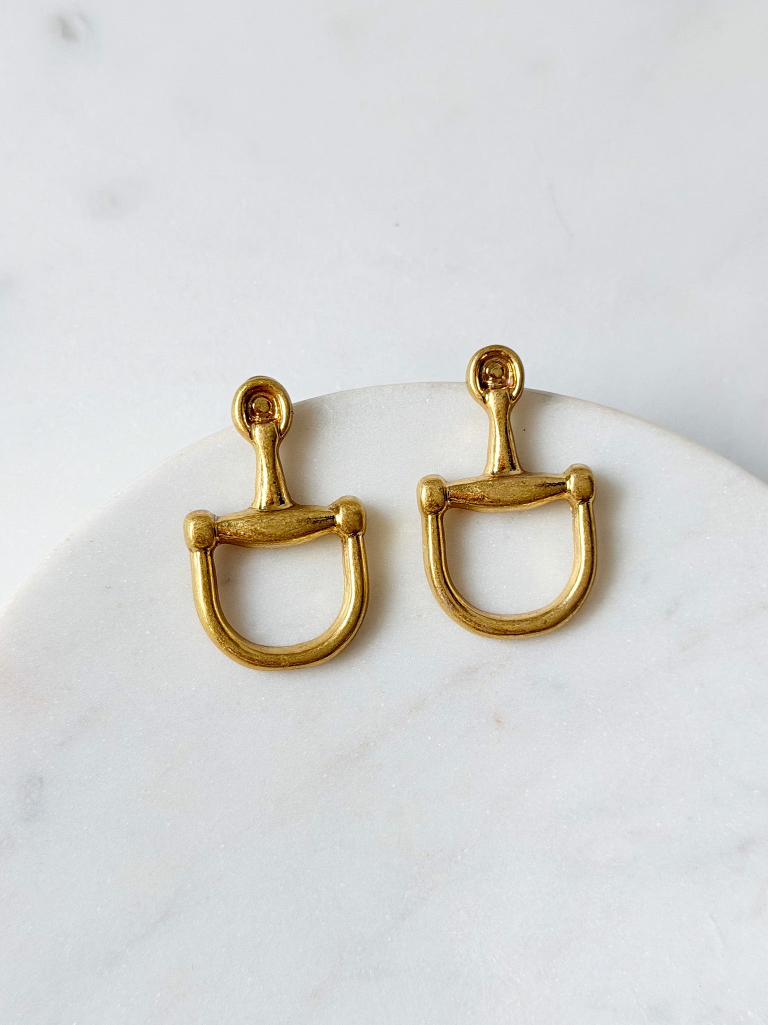 Polo Club Earrings