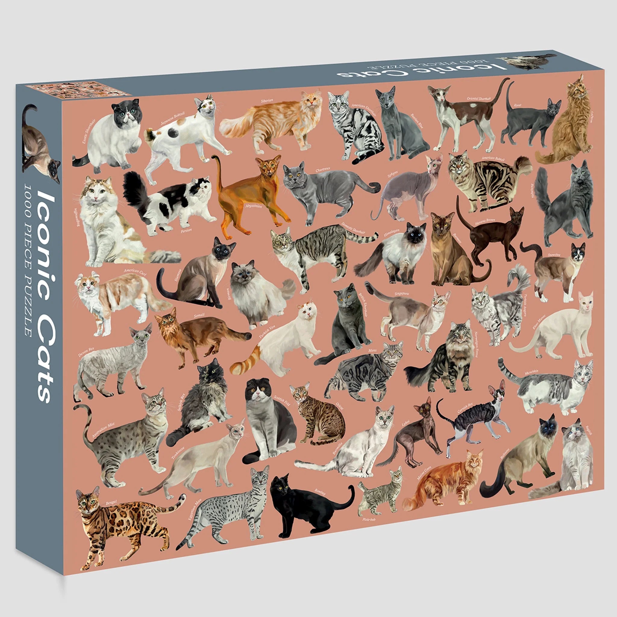 Iconic Cats Puzzle | 1000 Piece
