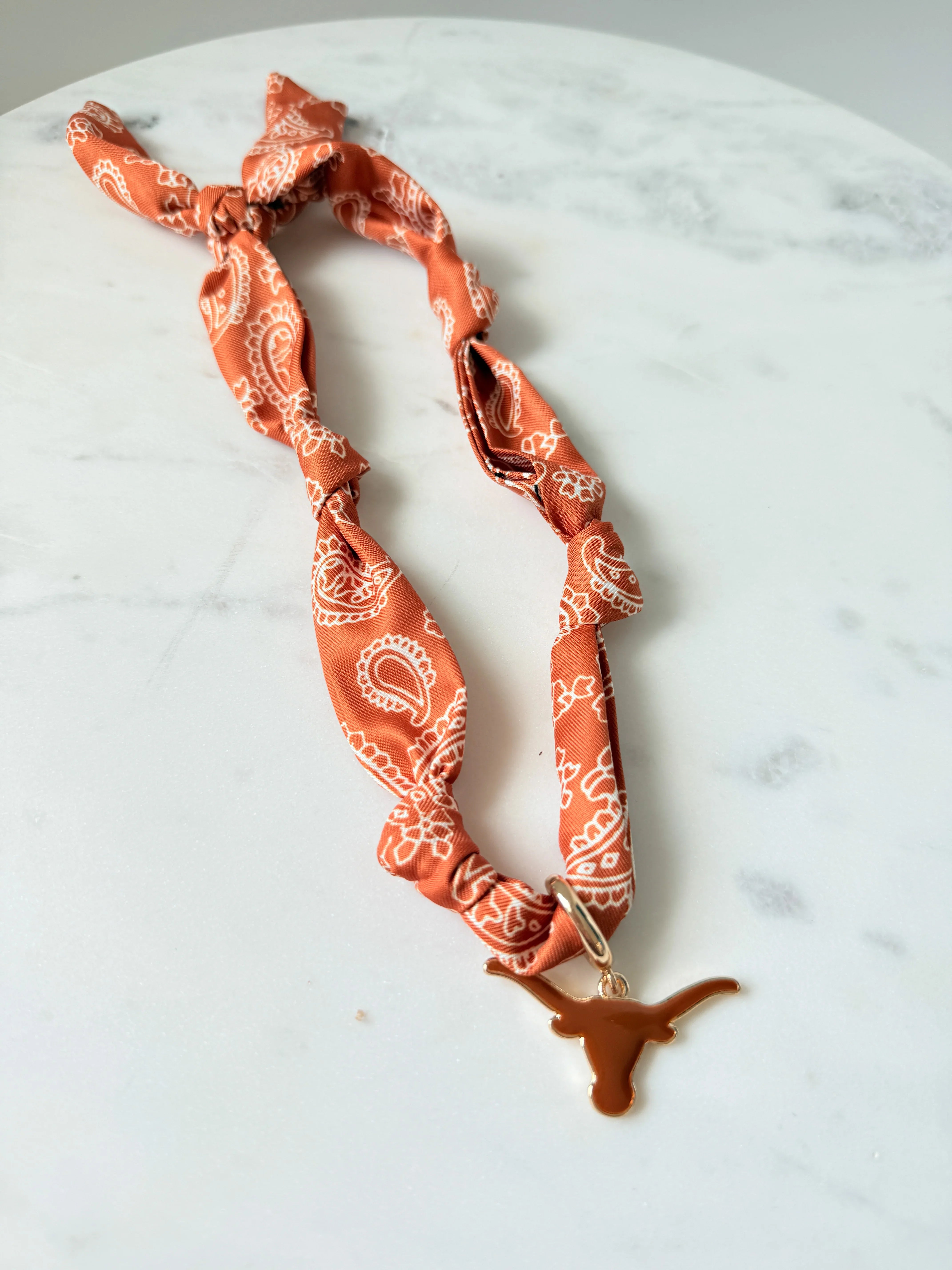 Team Pride Scarf Necklace