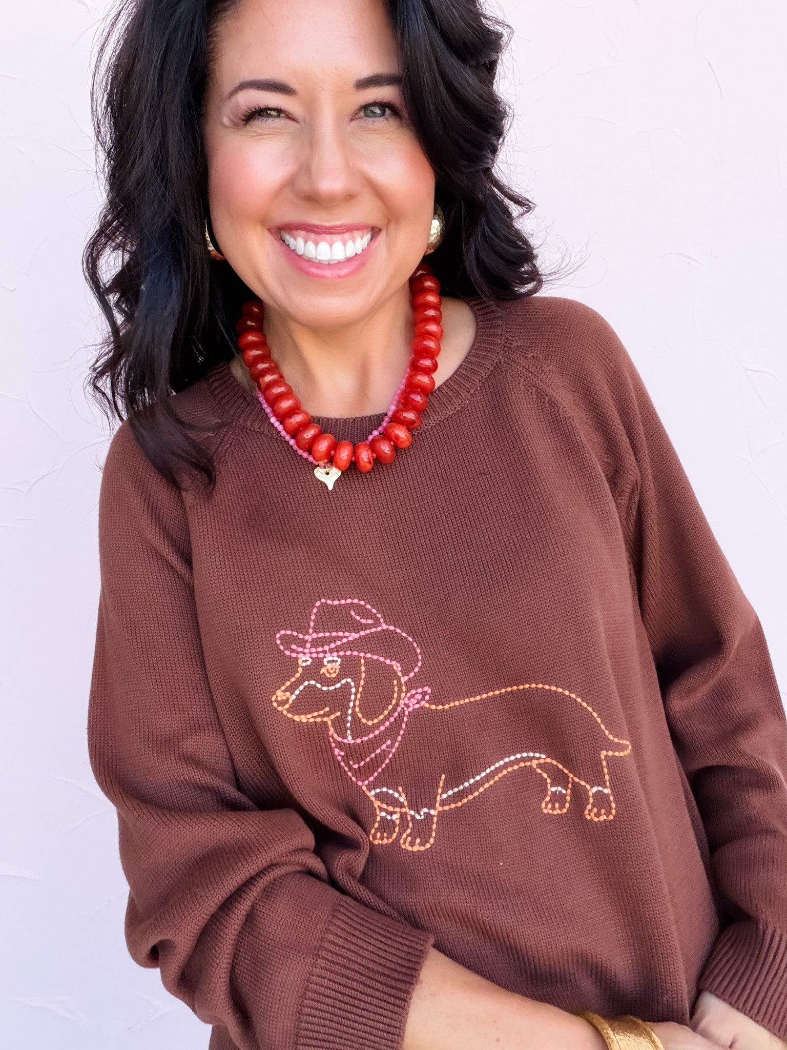 Howdy Pup Sweater