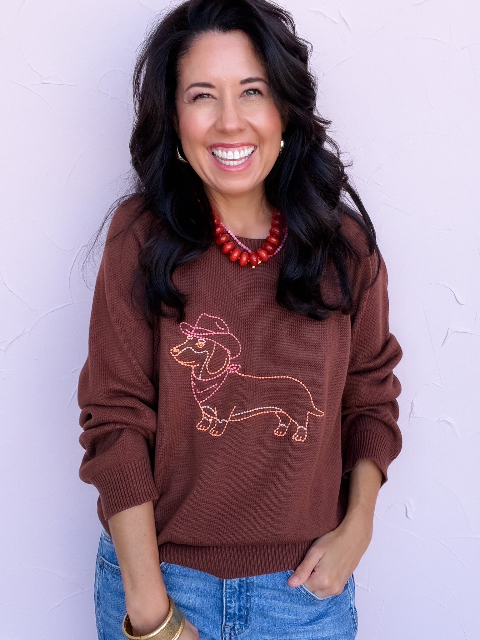 Howdy Pup Sweater