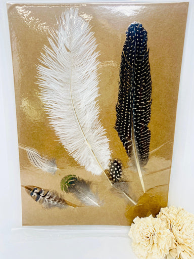 Set Of Assorted Feather Plumes - Vintage Soul