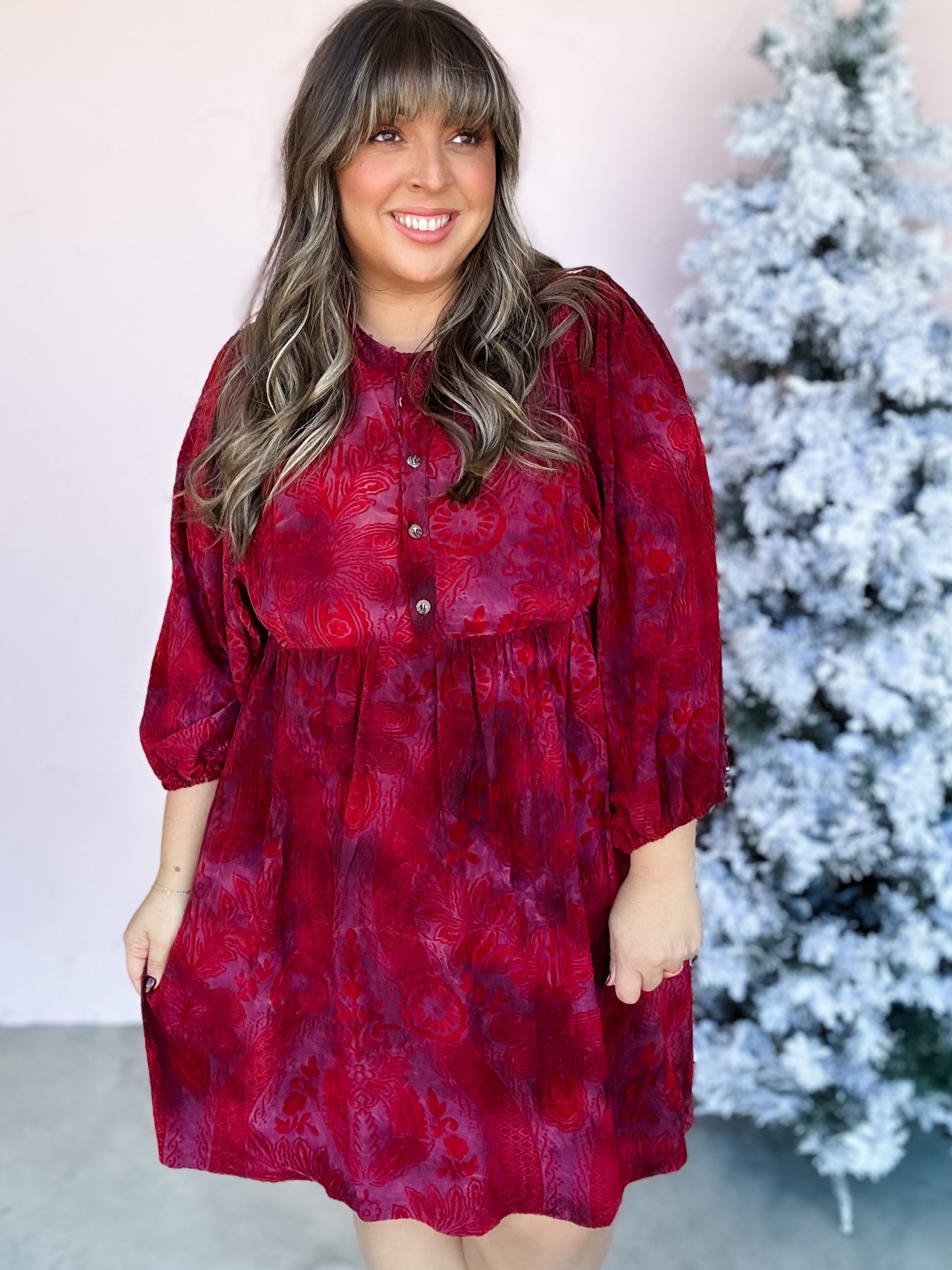 Merry Moments Velvet Dress