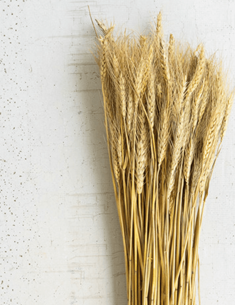 Wheat Bundle - Vintage Soul