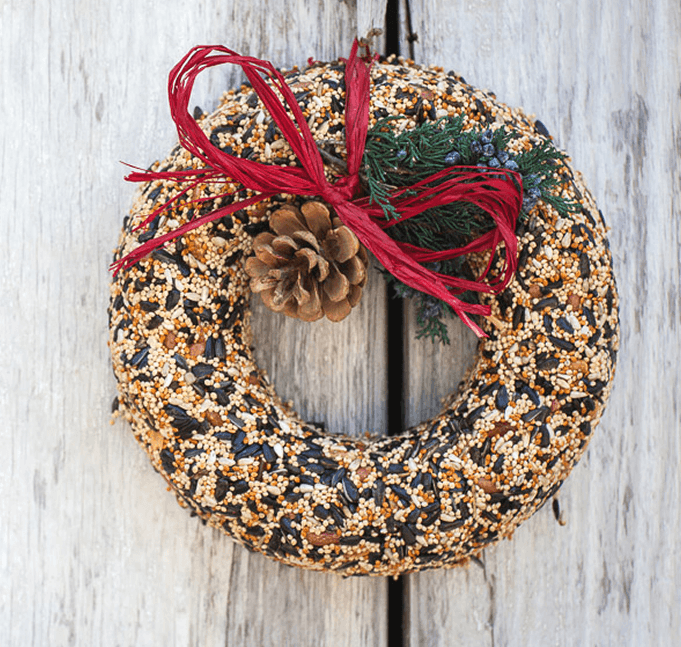 Winter Wildfeast Birdseed Wreath - Vintage Soul